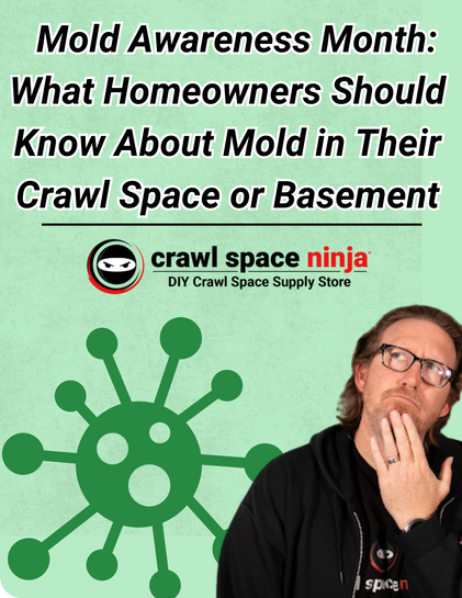 Mold Awareness Month: What Homeowners Should Know About Mold in Their Crawl Space or Basement