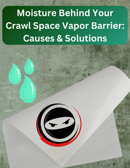 Moisture Behind Your Crawl Space Vapor Barrier: Causes & Solutions