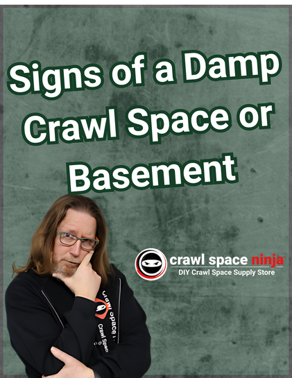 Signs of a Damp Crawl Space or Basement