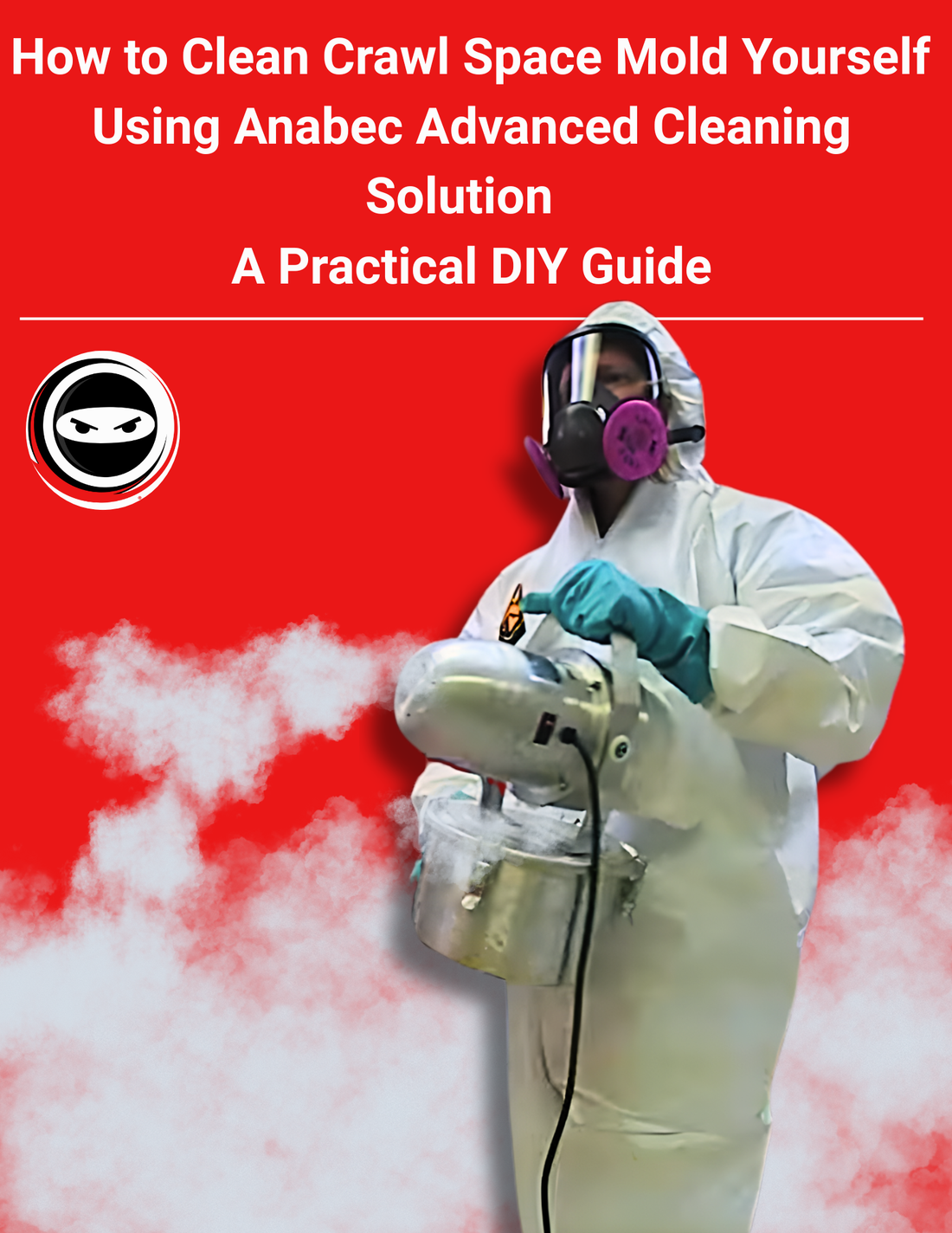 How to Clean Crawl Space Mold Yourself (Without Soda Blasting) Using A ...