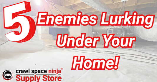 Five Enemies Lurking Under Your Home