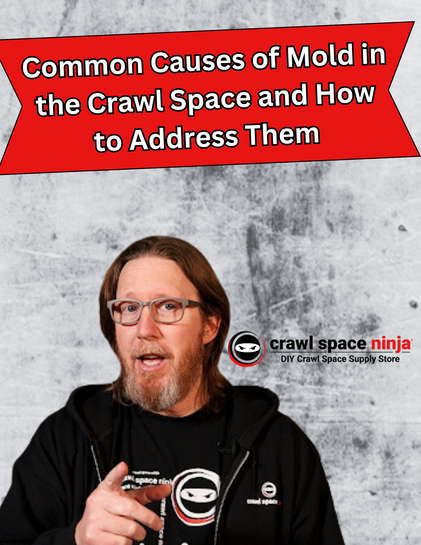 Common Causes of Mold in the Crawl Space and How to Address Them