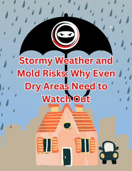 Stormy Weather and Mold Risks: Why Even Dry Areas Need to Watch Out