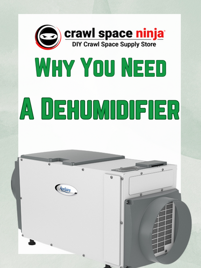 Why You Need a Dehumidifier for your home!